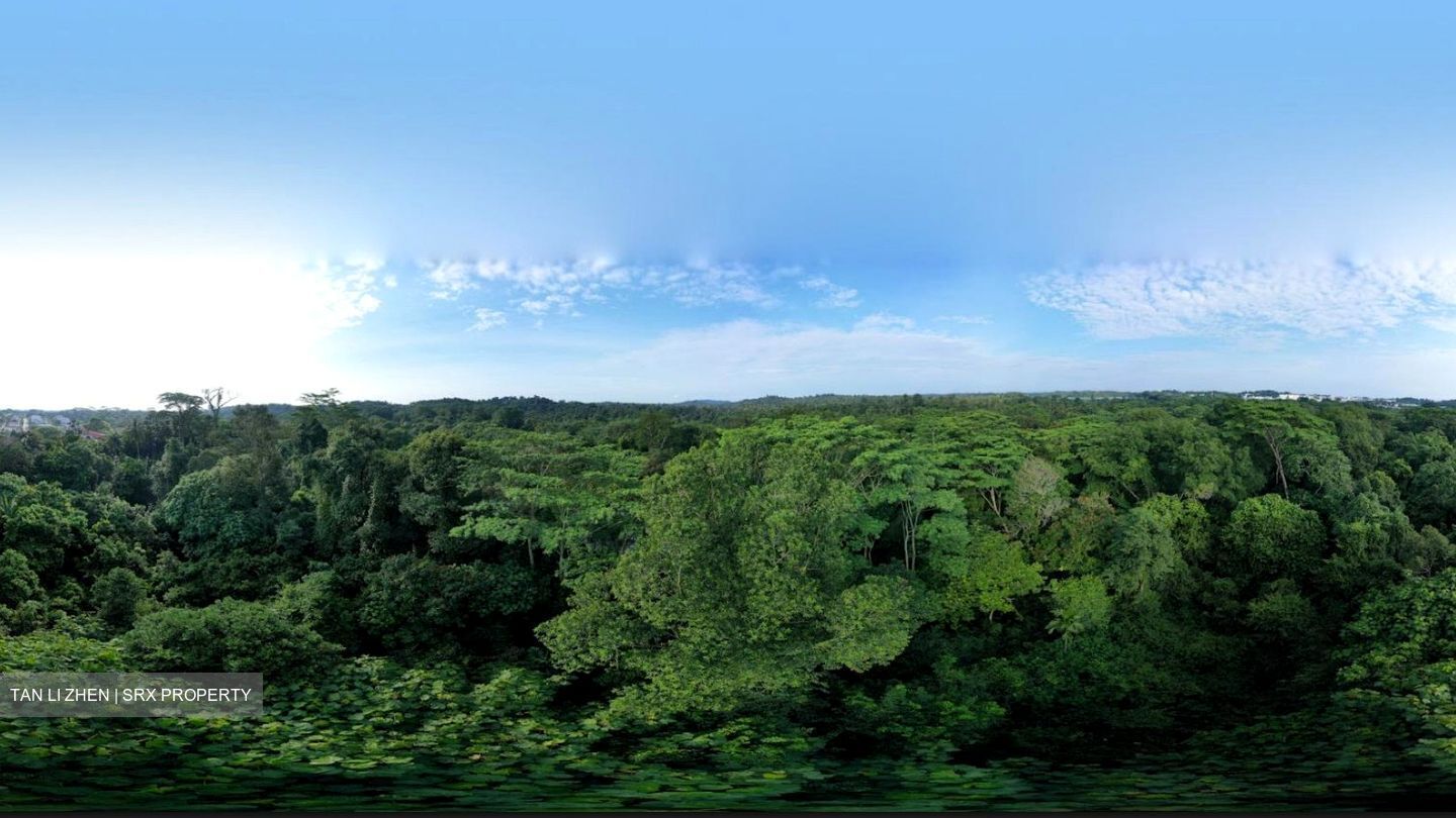 Springleaf Residence (D26), Apartment #461745191